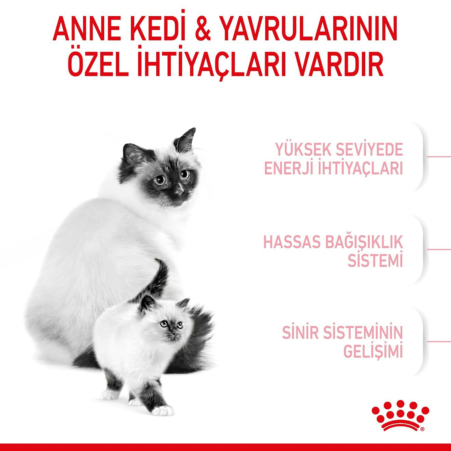 Royal Canin Baby Cat Yavru Kedi Maması 2 Kg