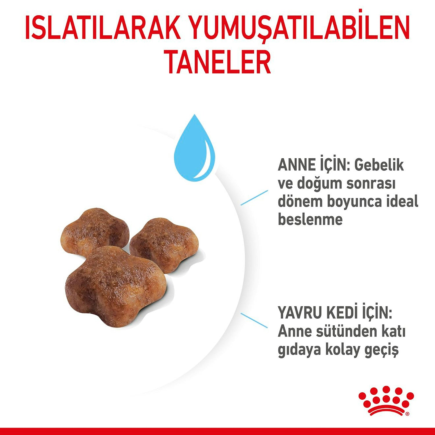 Royal Canin Baby Cat Yavru Kedi Maması 2 Kg