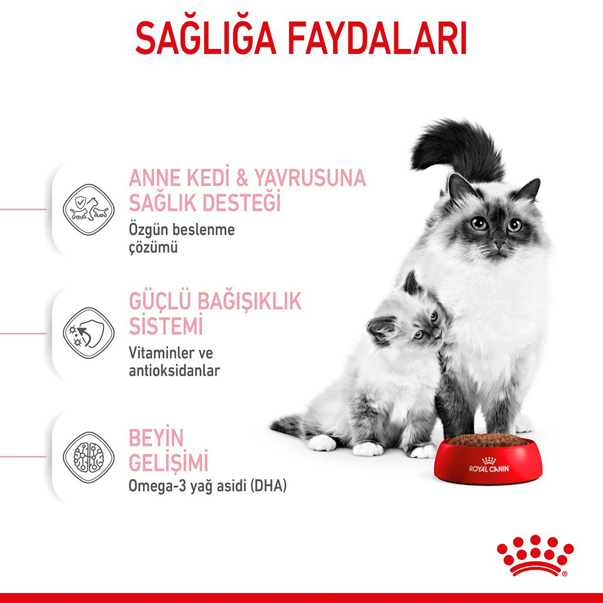 Royal Canin Baby Cat Yavru Kedi Maması 4 Kg