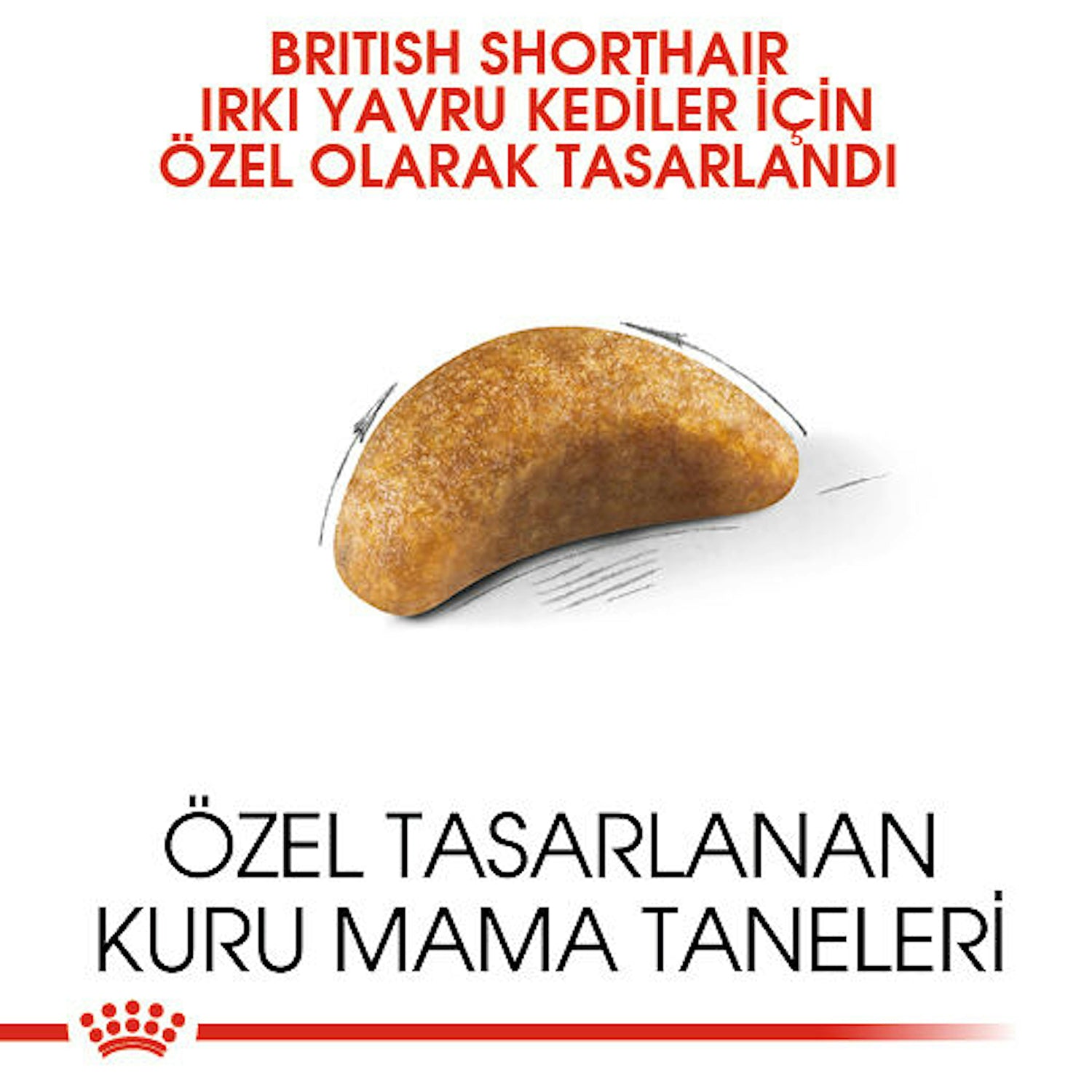 Royal Canin British Shorthair Kitten Yavru Kedi Maması 2 Kg