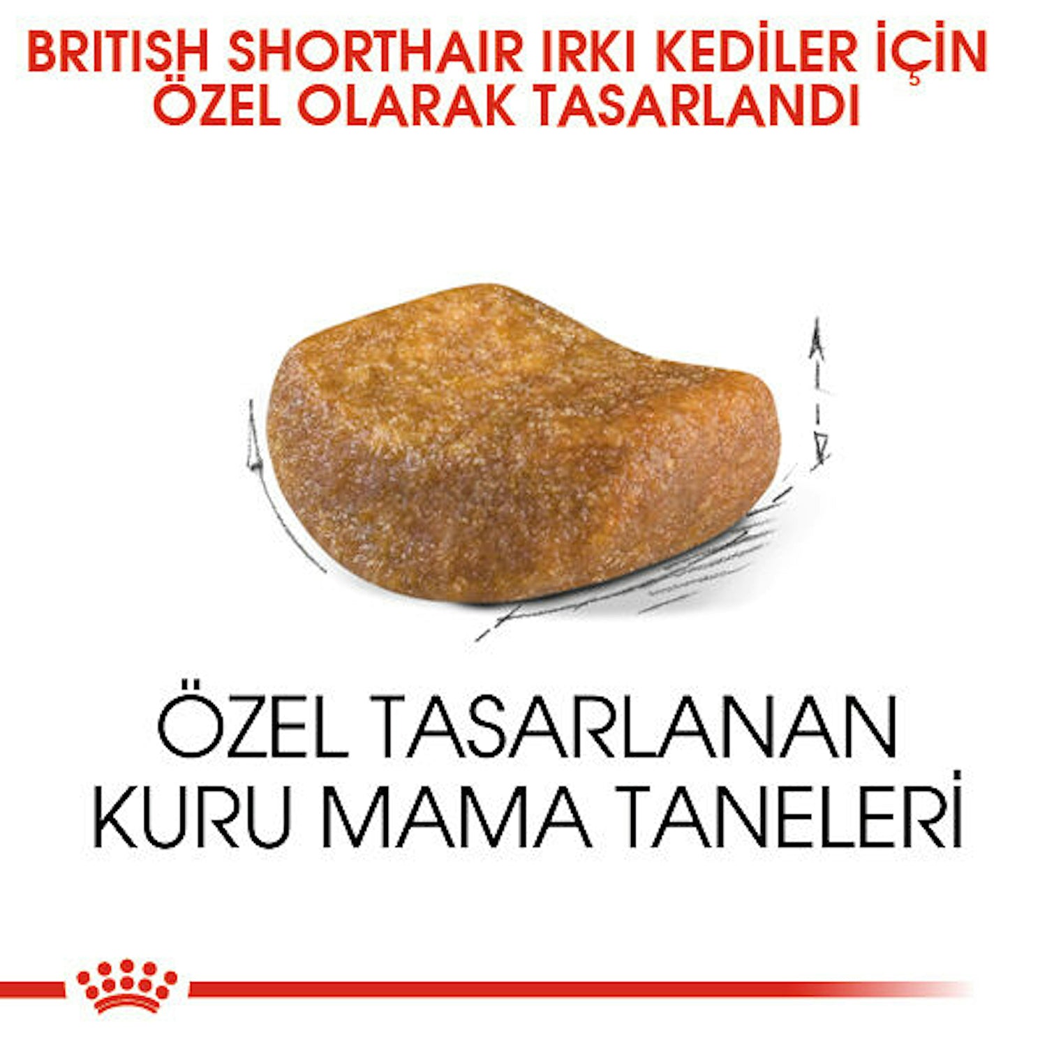 Royal Canin British Shorthair Yetişkin Kedi Maması 2 Kg