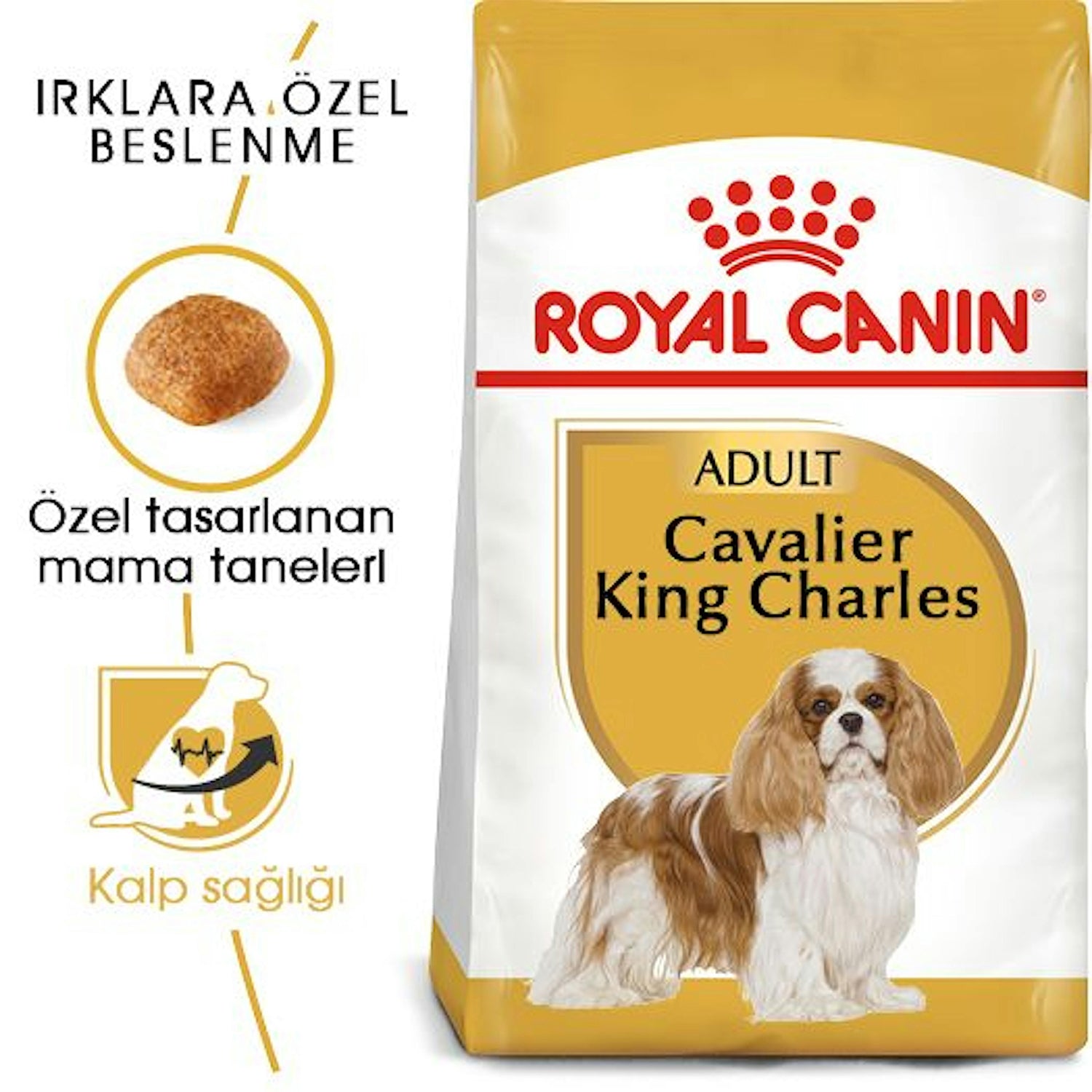 Royal Canin Cavalier King Charles Yetişkin Köpek Maması 3 Kg