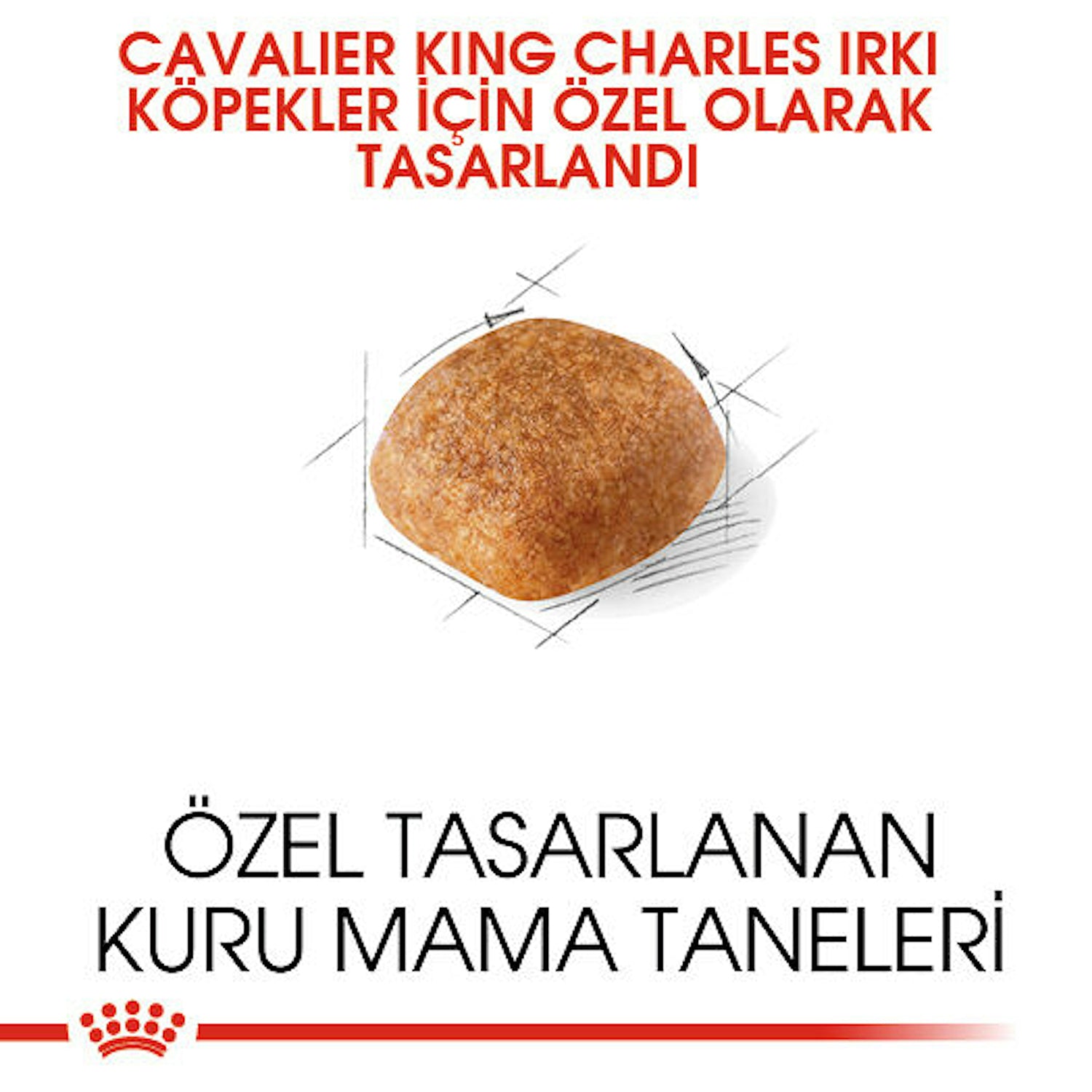 Royal Canin Cavalier King Charles Yetişkin Köpek Maması 3 Kg