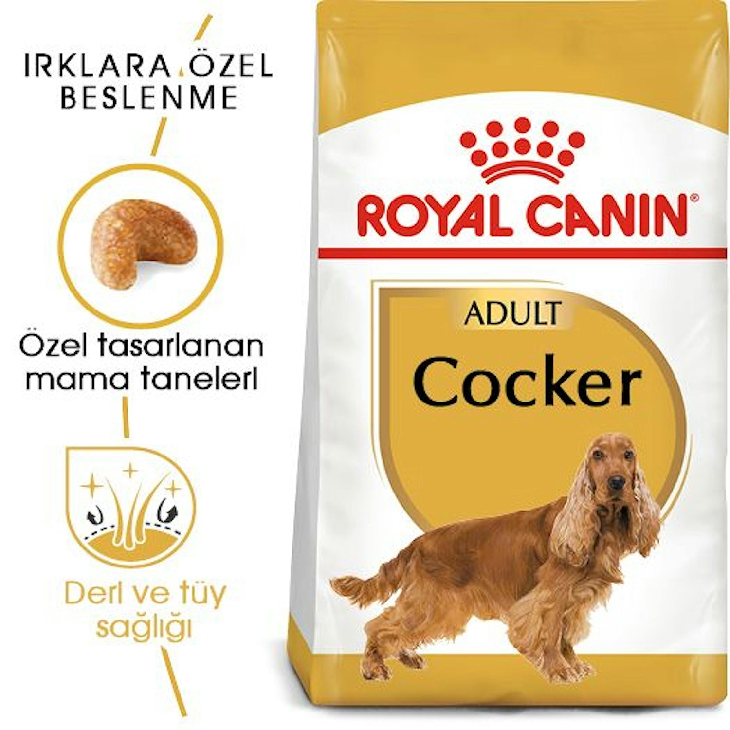 Royal Canin Cocker Yetişkin Köpek Maması 3 Kg
