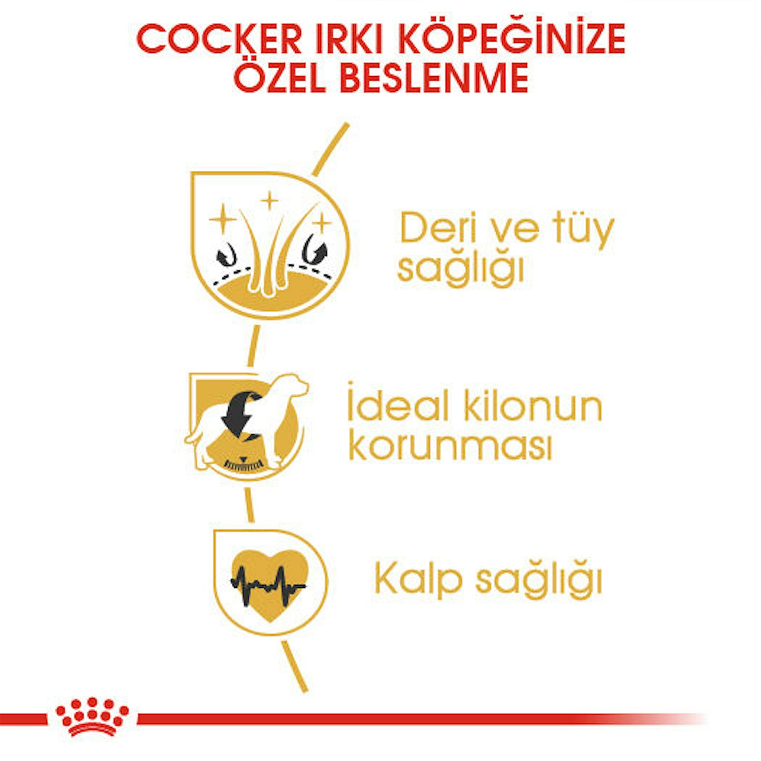 Royal Canin Cocker Yetişkin Köpek Maması 3 Kg