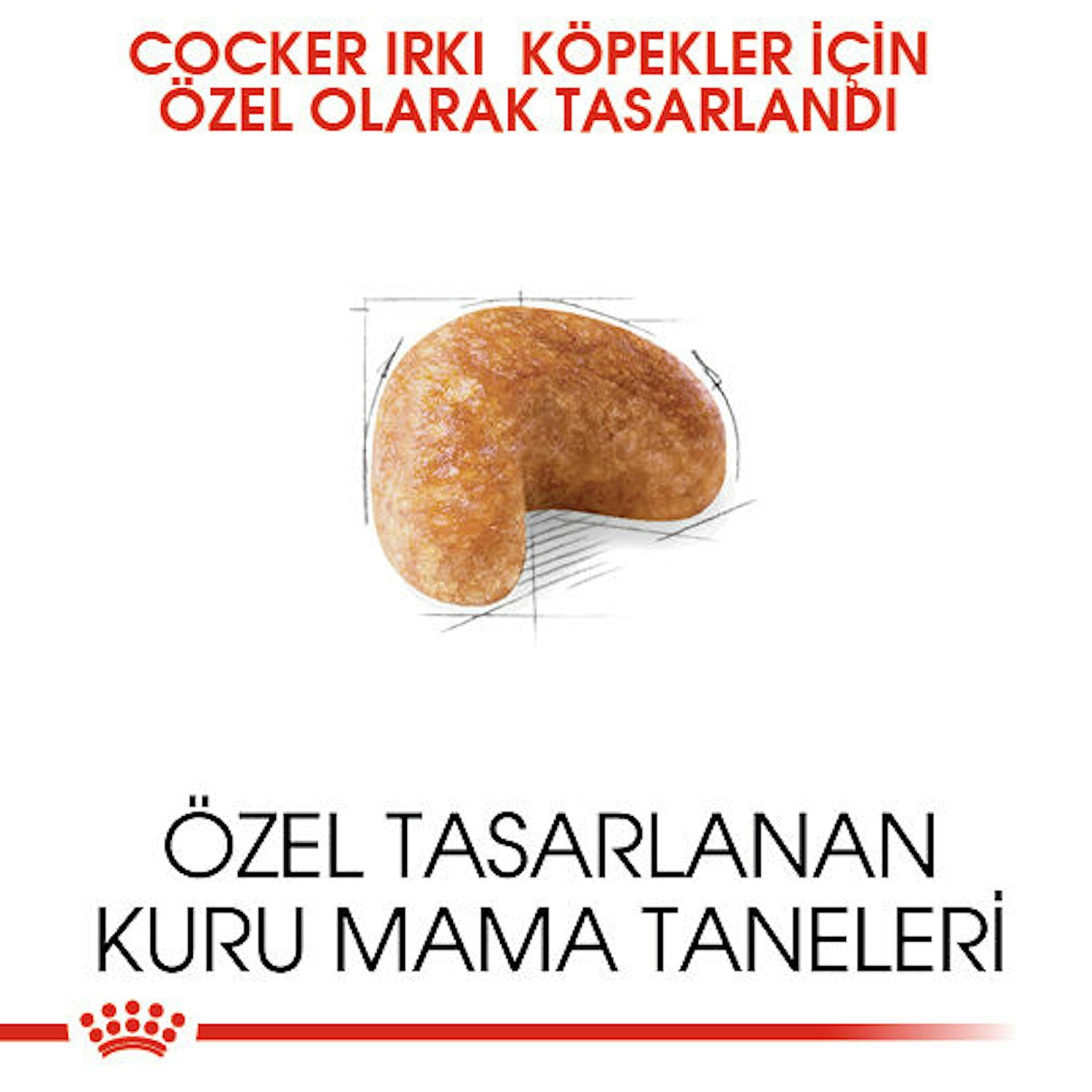 Royal Canin Cocker Yetişkin Köpek Maması 3 Kg
