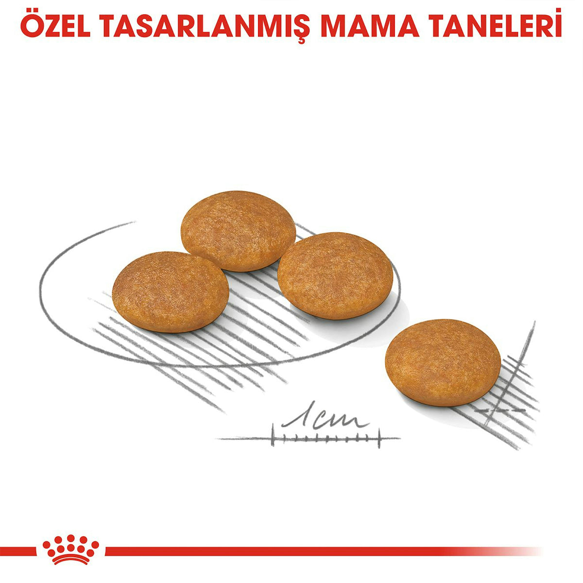 Royal Canin Dermacomfort Mini Yetişkin Köpek Maması 3 Kg