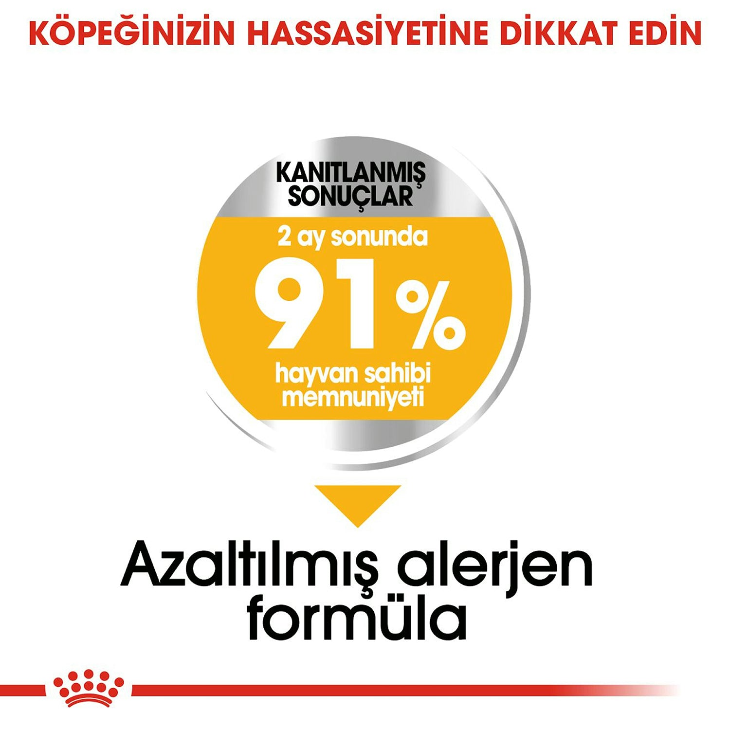 Royal Canin Dermacomfort Mini Yetişkin Köpek Maması 3 Kg