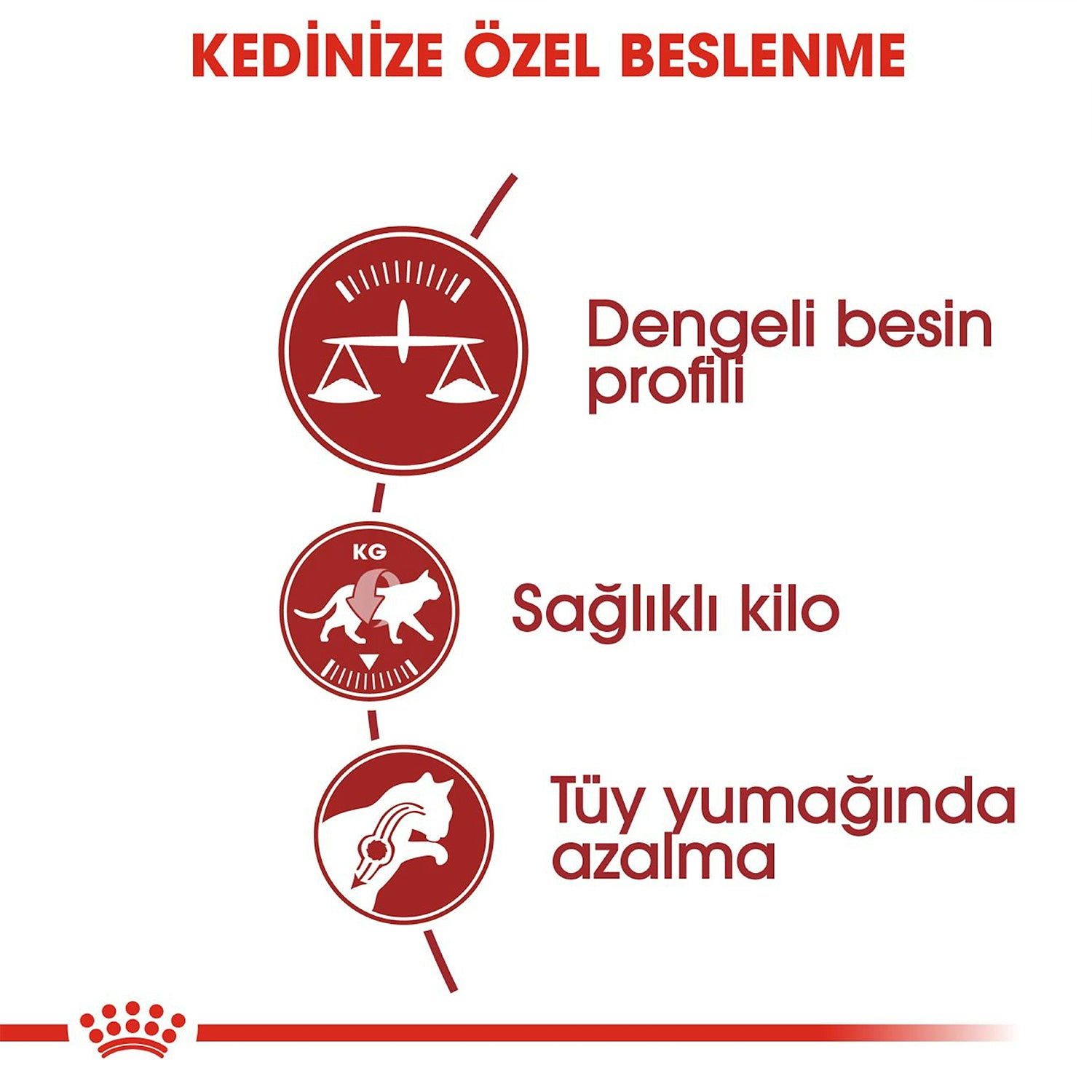 Royal Canin Fit 32 Yetişkin Kuru Kedi Maması 4 Kg