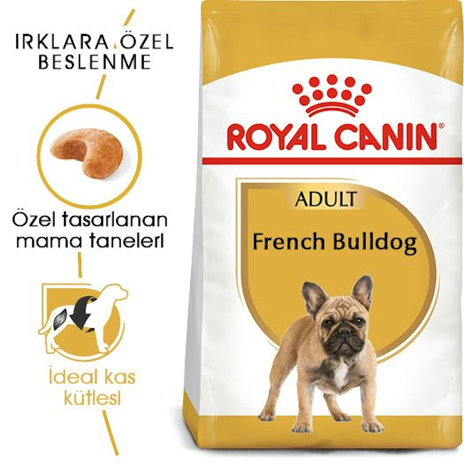 Royal Canin French Bulldog Yetişkin Köpek Maması 3 Kg