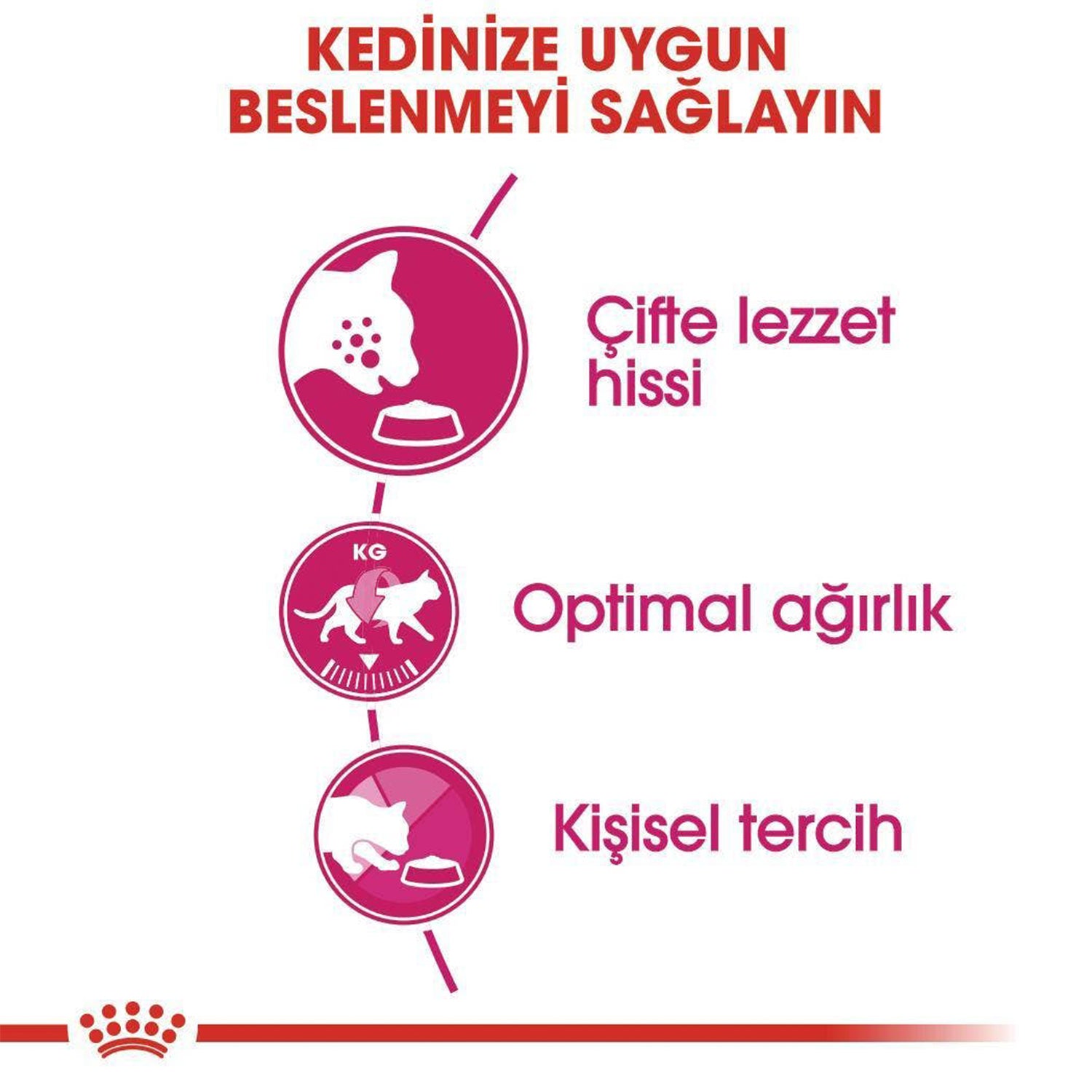 Royal Canin Fussy Exigent Seçici Kedilere Özel Yetişkin Kedi Maması 10 Kg