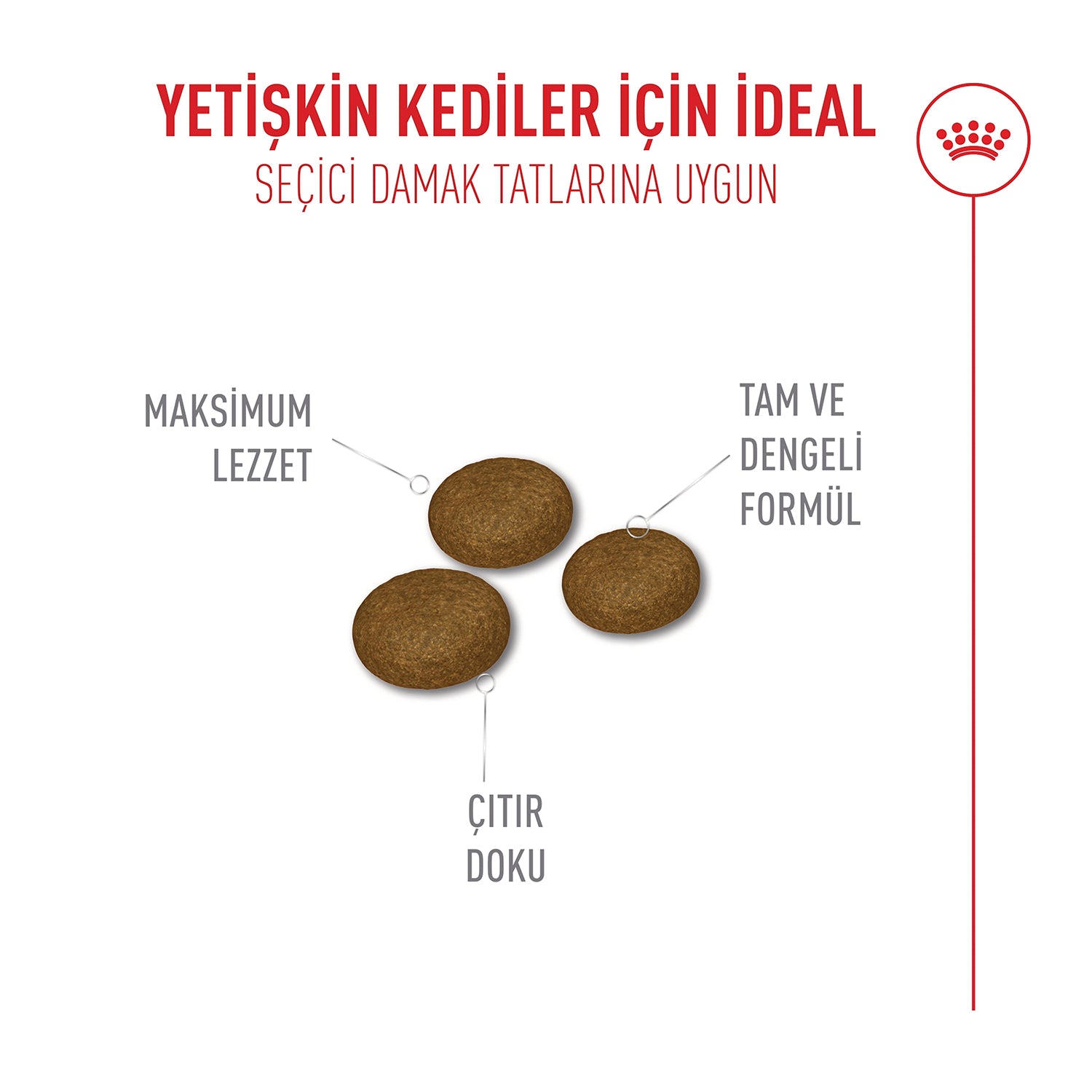 Royal Canin Fussy Exigent Seçici Kedilere Özel Yetişkin Kedi Maması 4 Kg