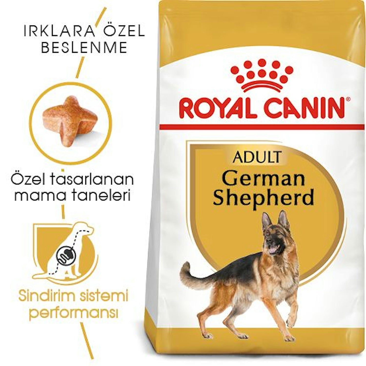 Royal Canin German Shepherd Alman Kurdu Yetişkin Köpek Maması 11 Kg