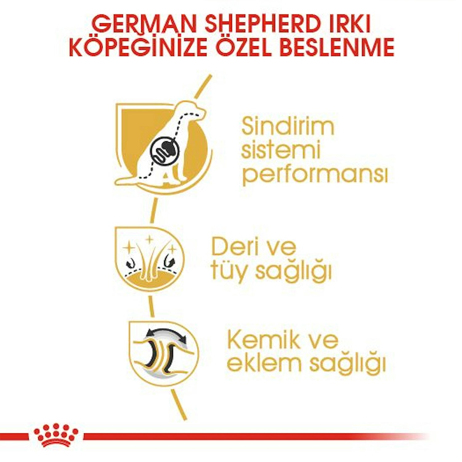 Royal Canin German Shepherd Alman Kurdu Yetişkin Köpek Maması 11 Kg