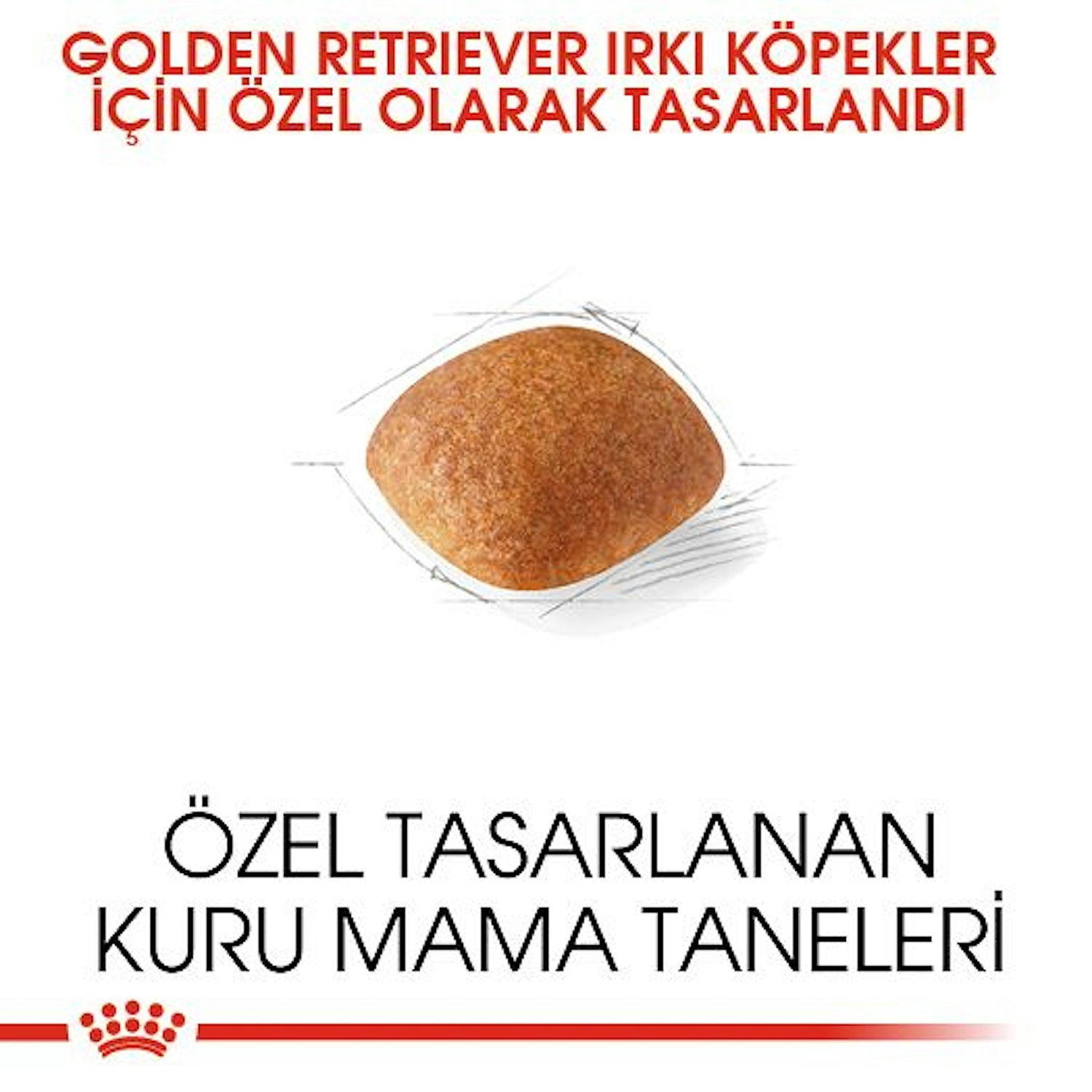 Royal Canin Golden Retriever Yetişkin Köpek Maması 12 Kg