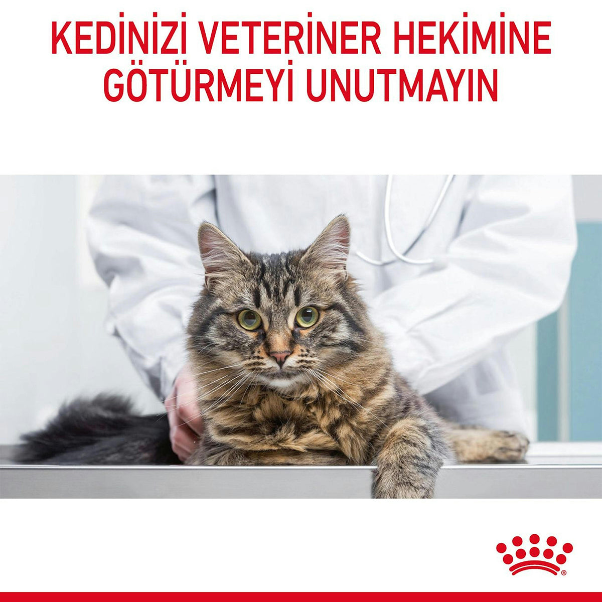 Royal Canin Hairball Tüy Yumağı Azaltan Yetişkin Kedi Maması 2 Kg