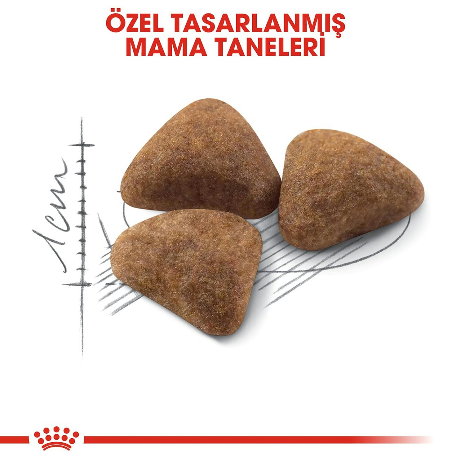 Royal Canin Indoor 27  Evde Yaşayan Kediler İçin Yetişkin Kuru Kedi Maması 2 Kg
