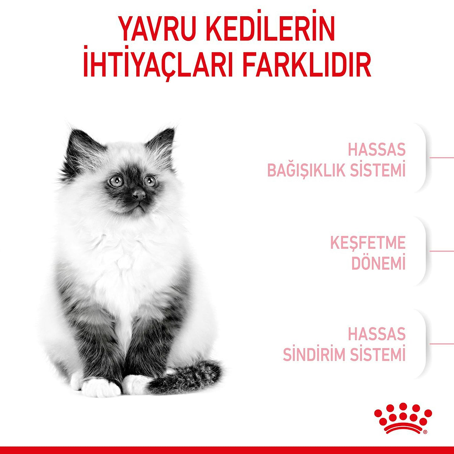 Royal Canin Kitten Yavru Kediler İçin Kuru Kedi Maması 10 Kg