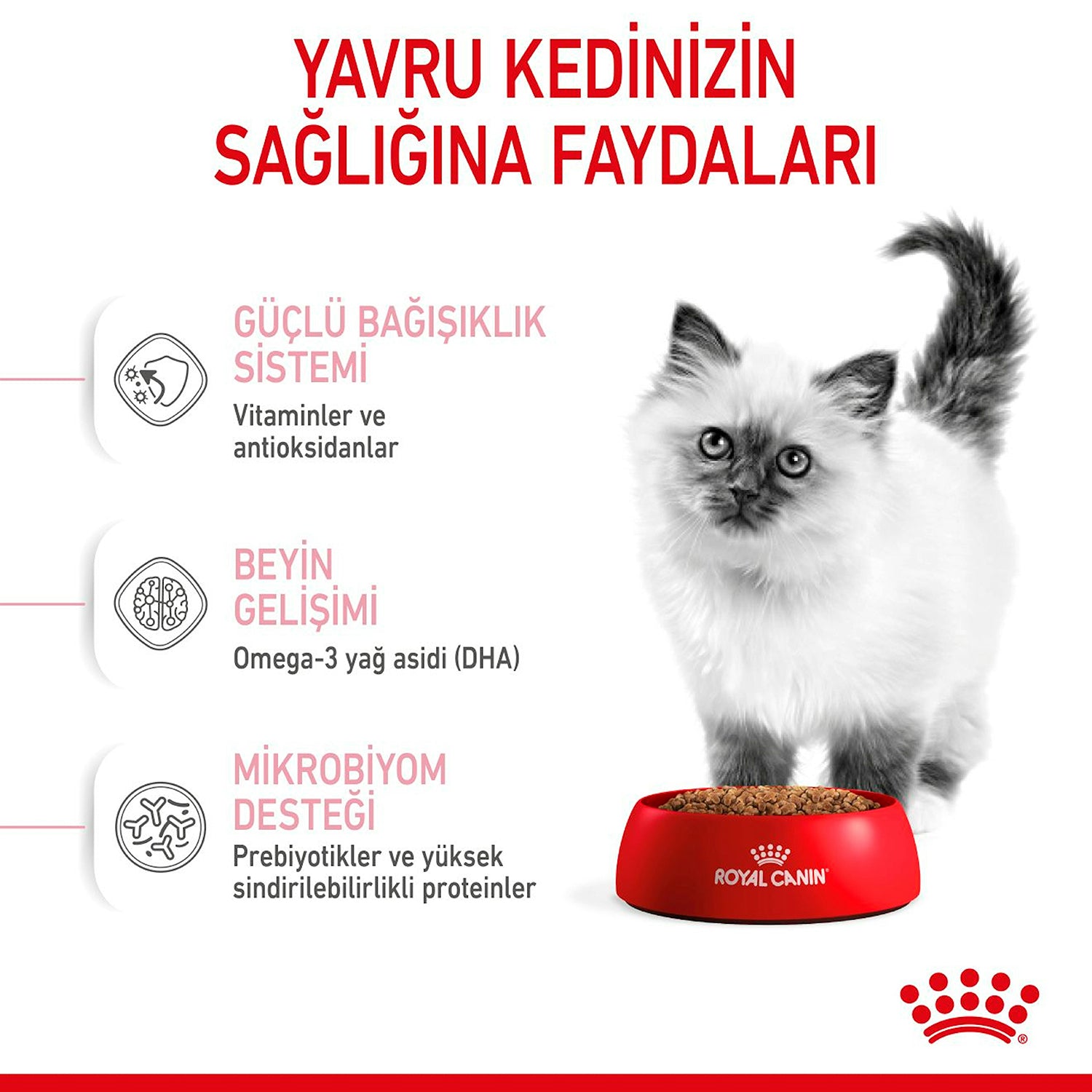 Royal Canin Kitten Yavru Kuru Kedi Maması 4 Kg