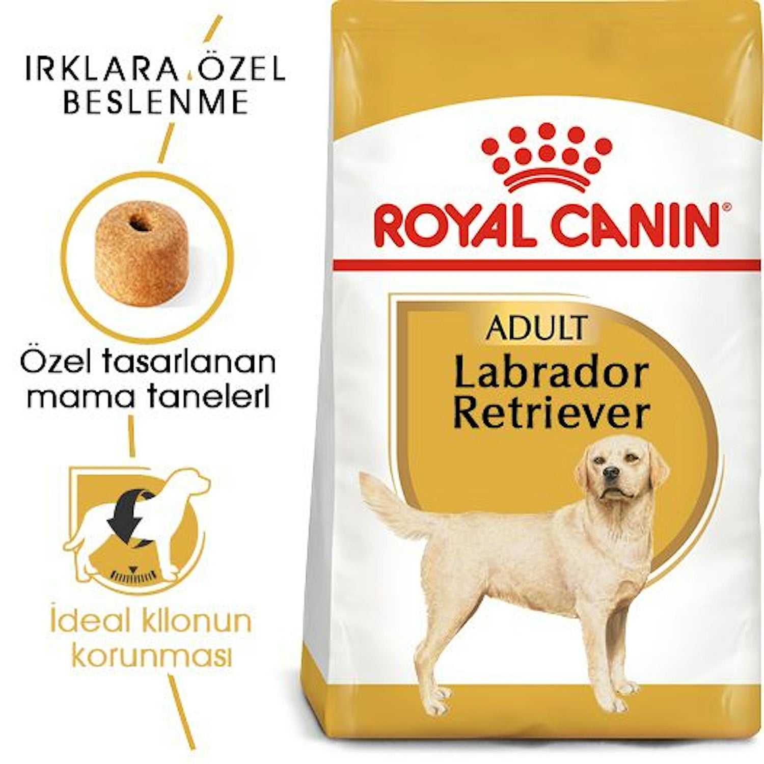 Royal Canin Labrador Retriever Yetişkin Köpek Maması 12 Kg