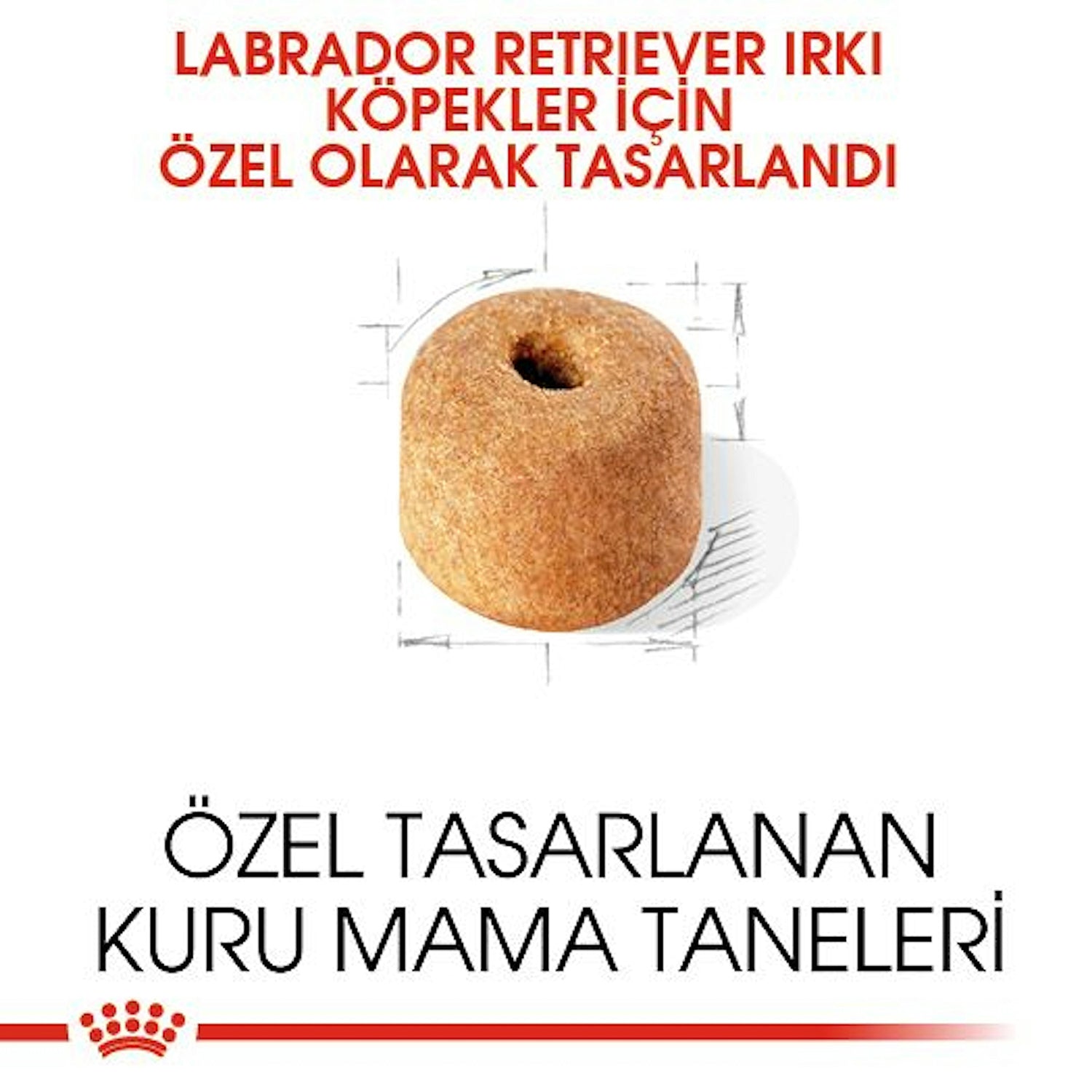 Royal Canin Labrador Retriever Yetişkin Köpek Maması 12 Kg