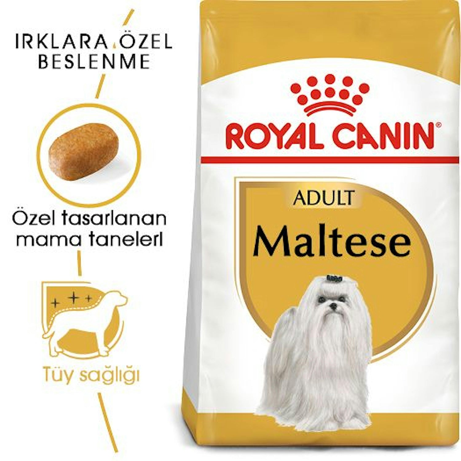 Royal Canin Maltese Yetişkin Köpek Maması 1.5 Kg