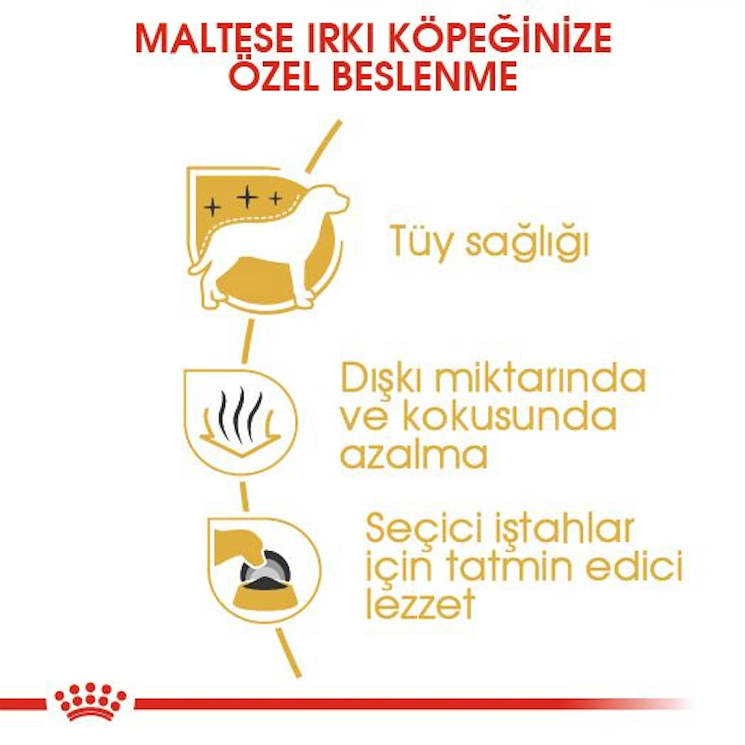 Royal Canin Maltese Yetişkin Köpek Maması 1.5 Kg
