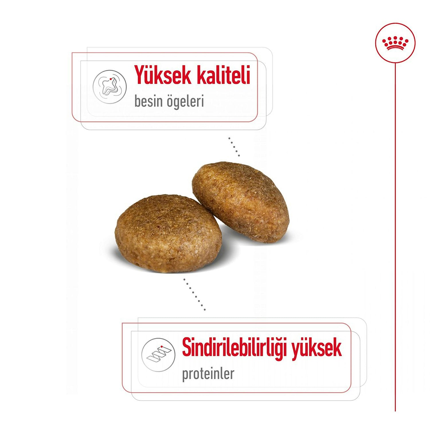 Royal Canin Maxi Büyük Irk Yetişkin Köpek Maması 15 Kg