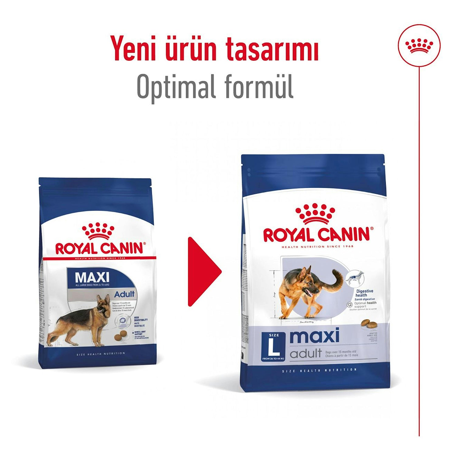 Royal Canin Maxi Büyük Irk Yetişkin Köpek Maması 15 Kg