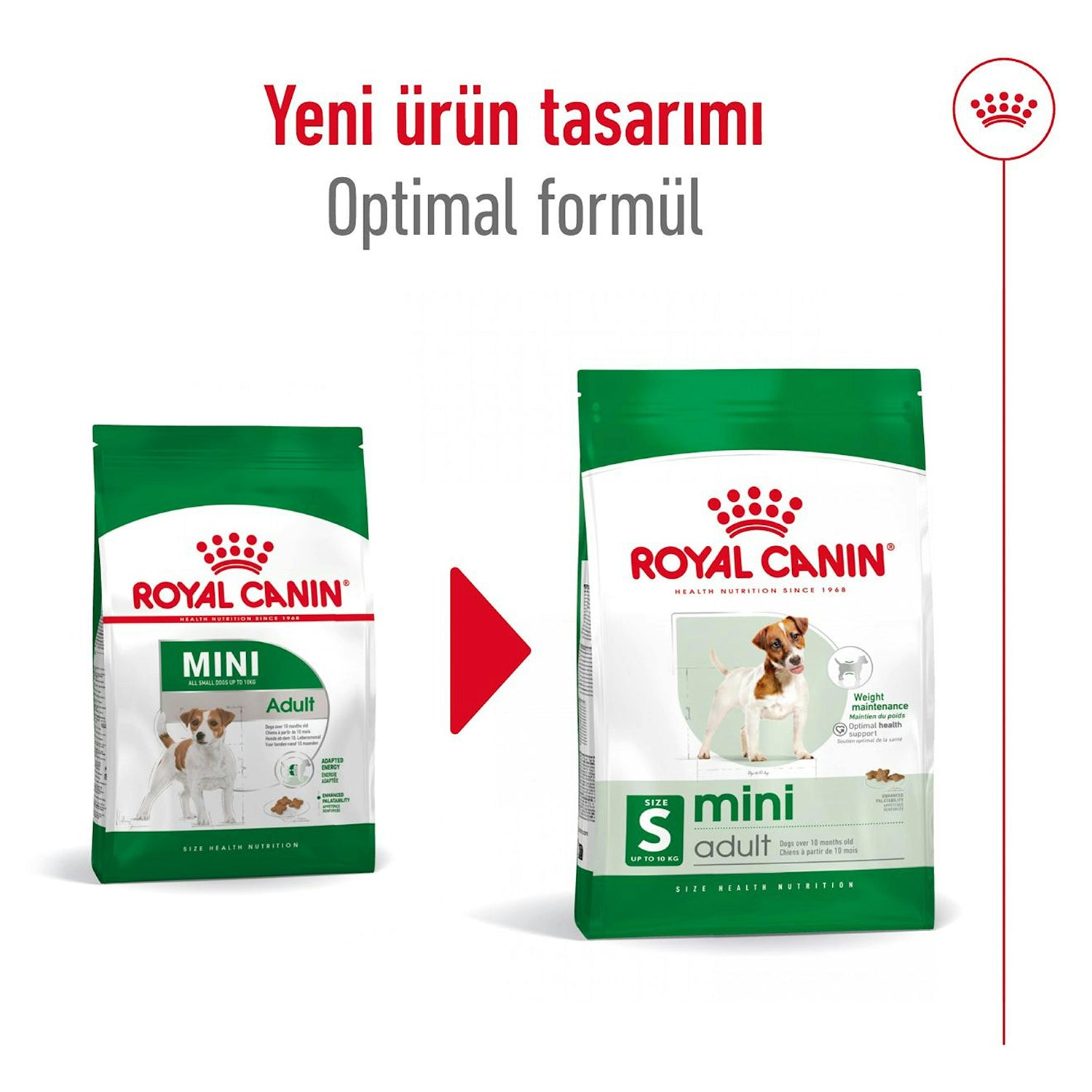 Royal Canin Mini Adult Küçük Irk Yetişkin Köpek Maması 8 Kg