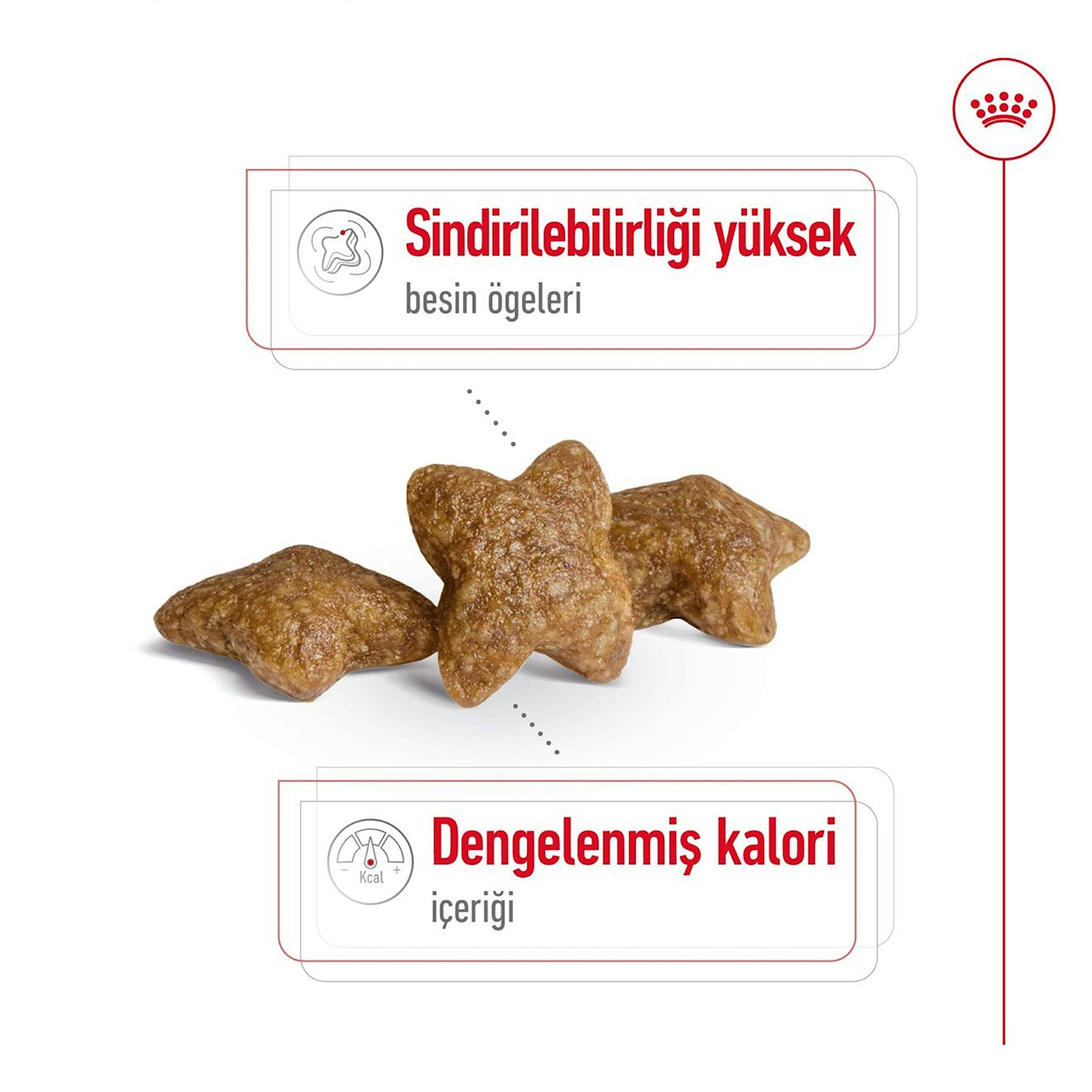 Royal Canin Mini Adult Küçük Irk Yetişkin Köpek Maması 8 Kg