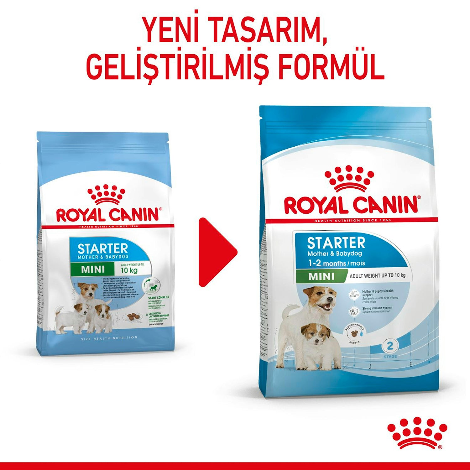 Royal Canin Mini Starter Küçük Irk Yavru Köpek Maması 4 Kg