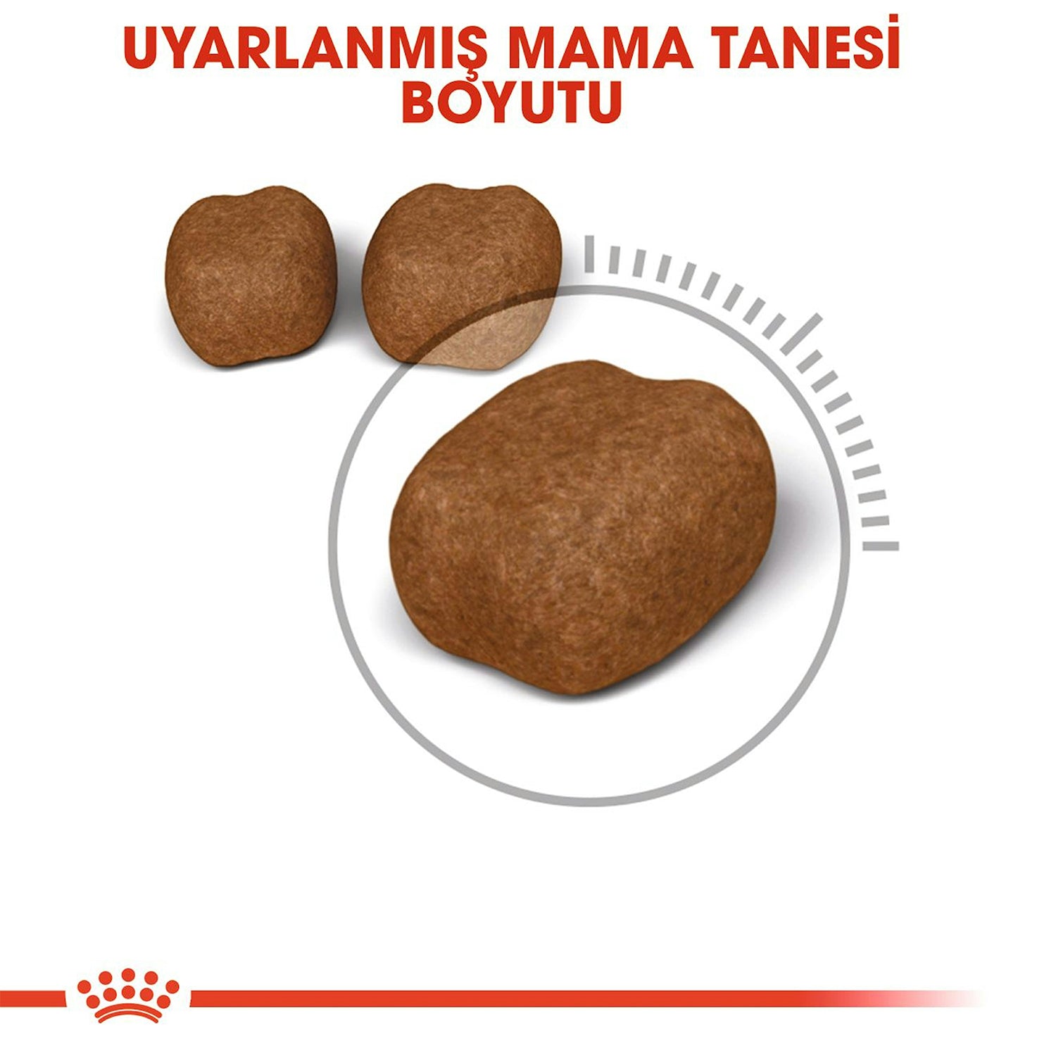 Royal Canin Oral Care Ağız ve Diş Sağlığı İçin Yetişkin Kedi Maması 1.5 Kg