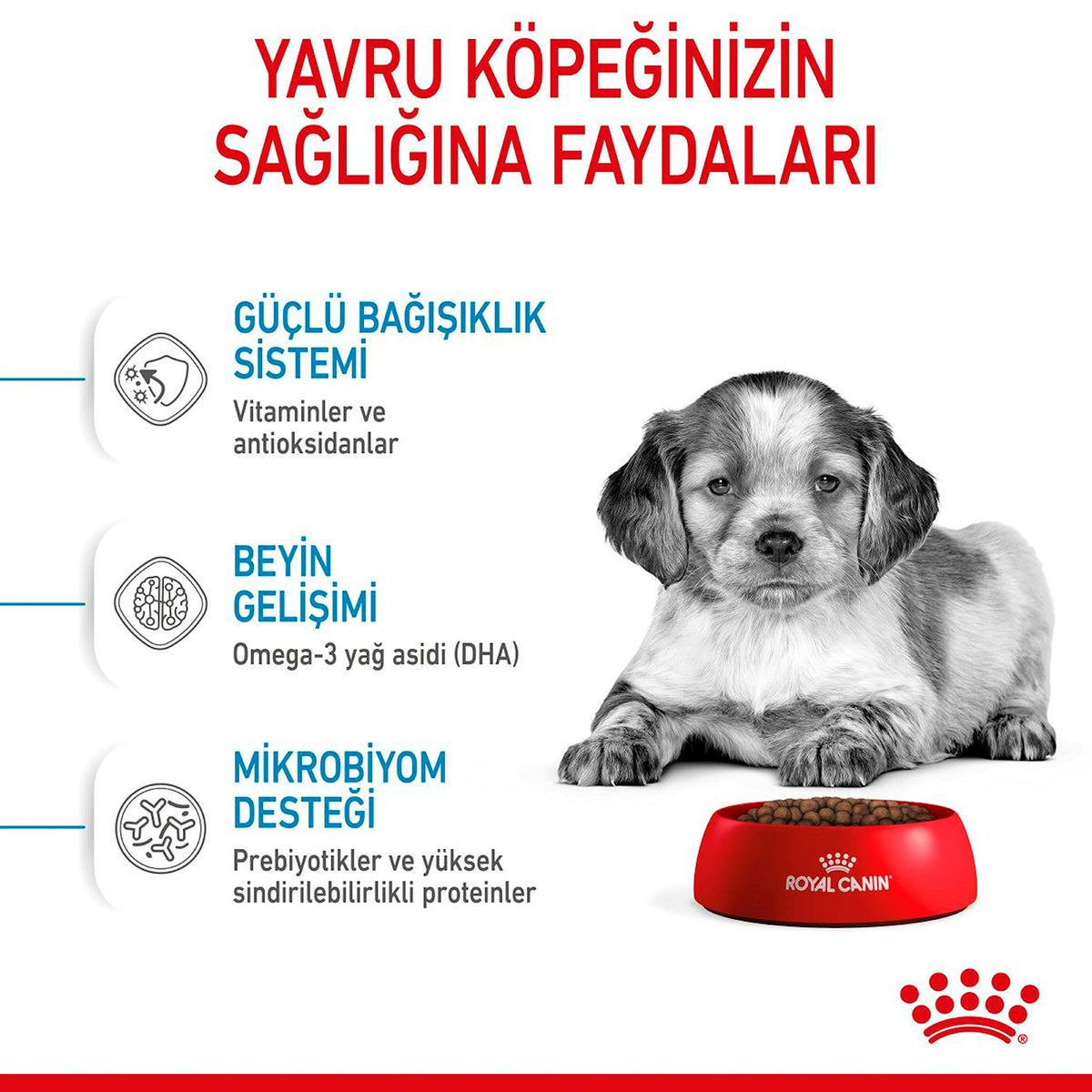 Royal Canin Orta Irk Puppy Yavru Köpek Kuru Maması 15 Kg