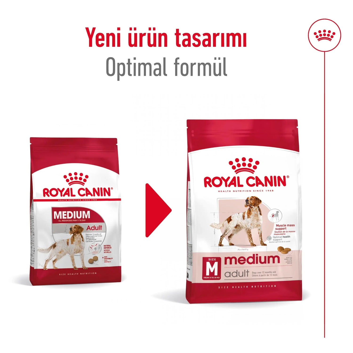 Royal Canin Orta Irk Yetişkin Kuru Köpek Maması 15 Kg