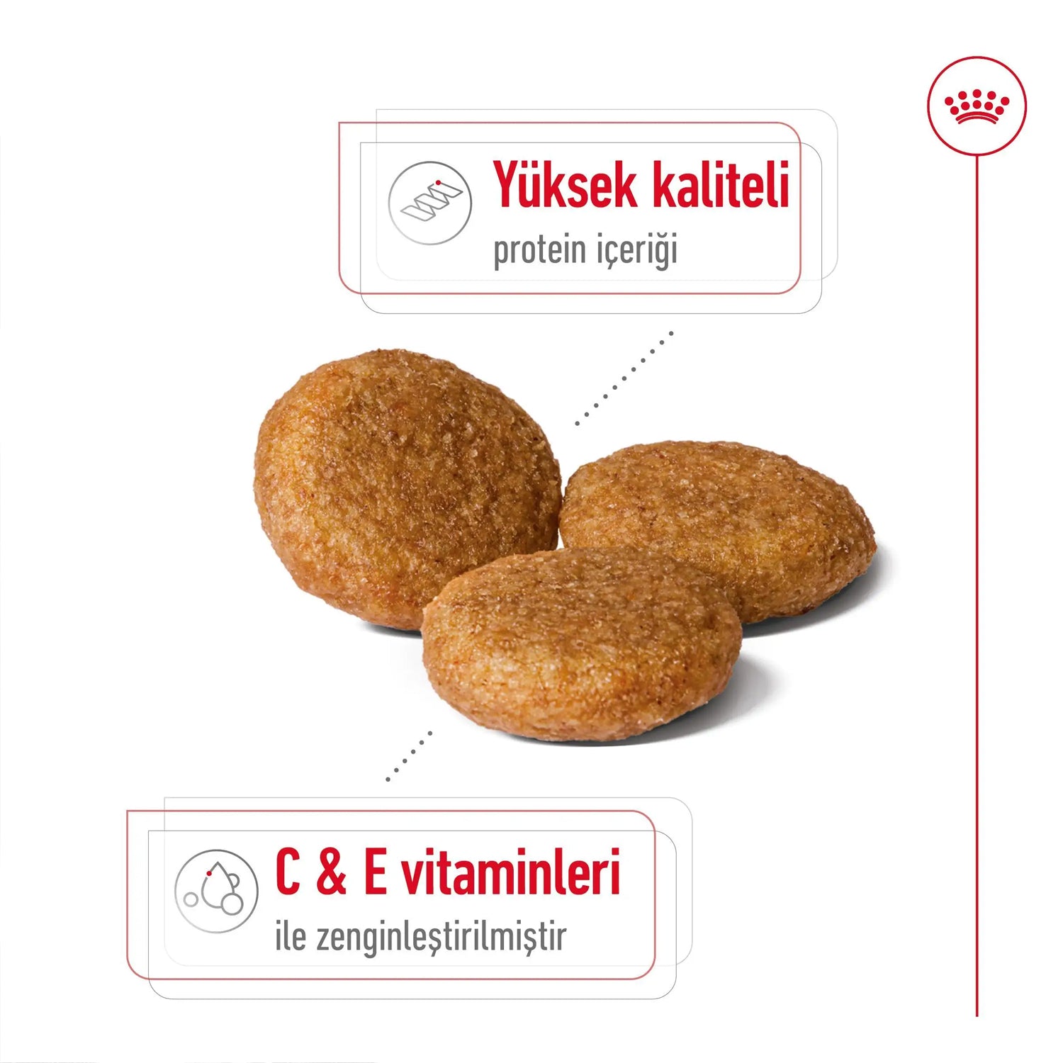 Royal Canin Orta Irk Yetişkin Kuru Köpek Maması 15 Kg