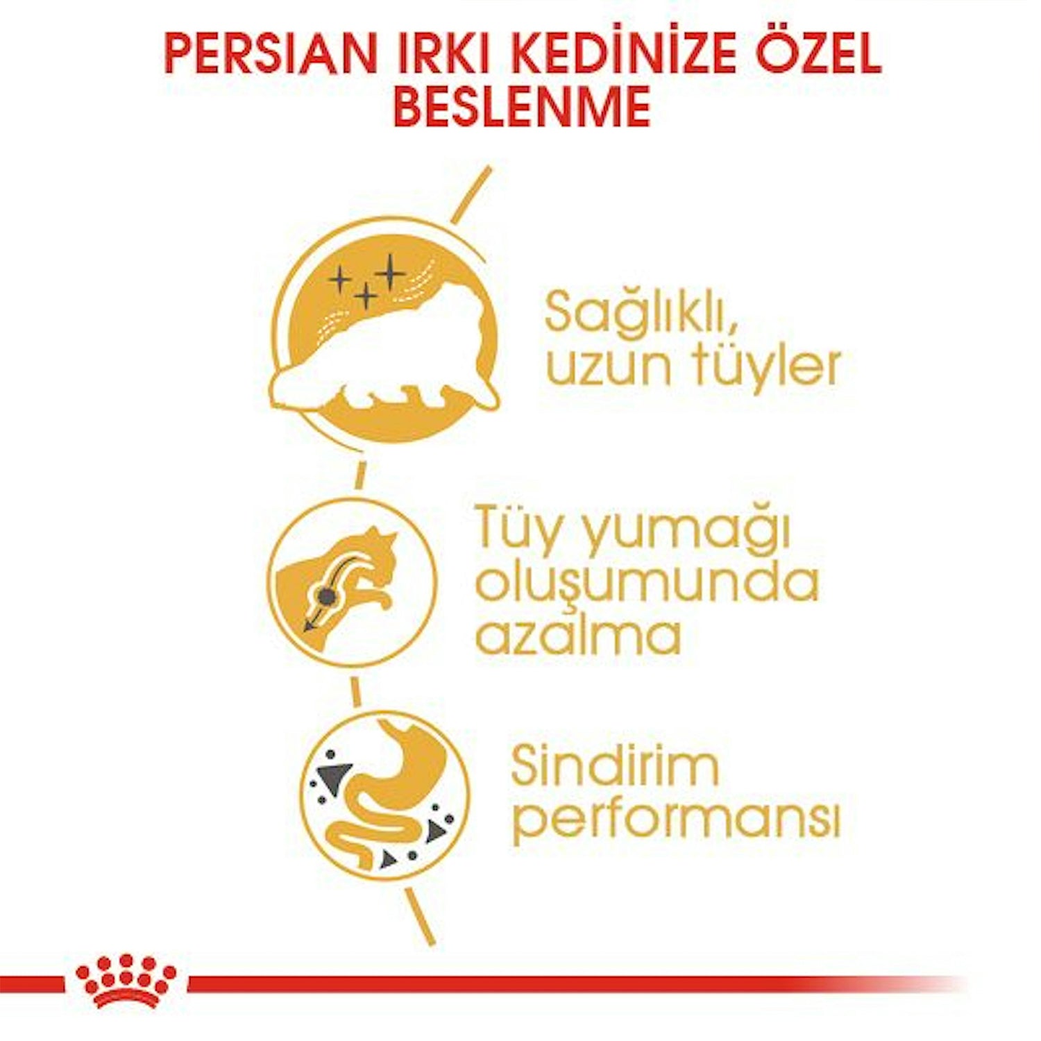 Royal Canin Persian Yetişkin İran Kedisi İçin Kuru Mama 2 Kg
