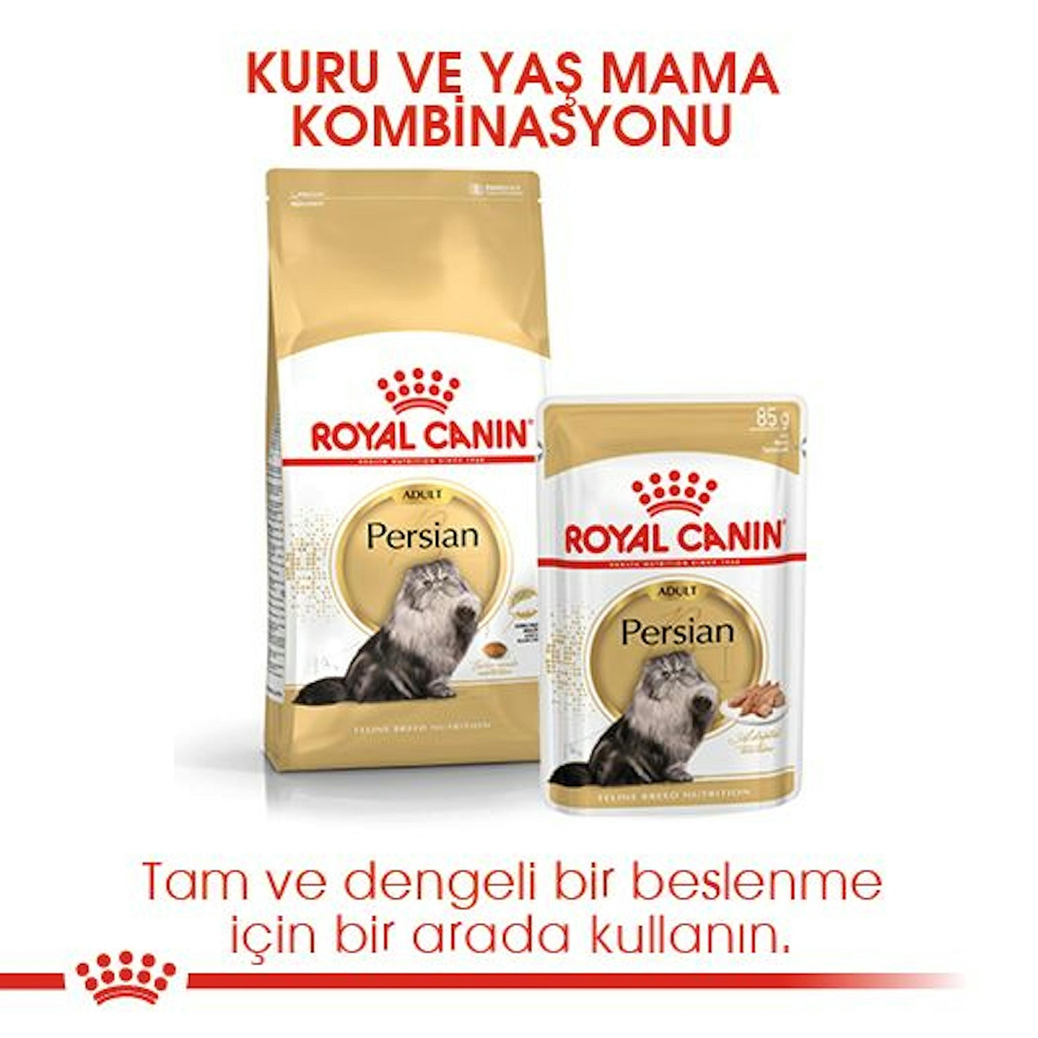 Royal Canin Persian Yetişkin İran Kedisi İçin Kuru Mama 4 Kg