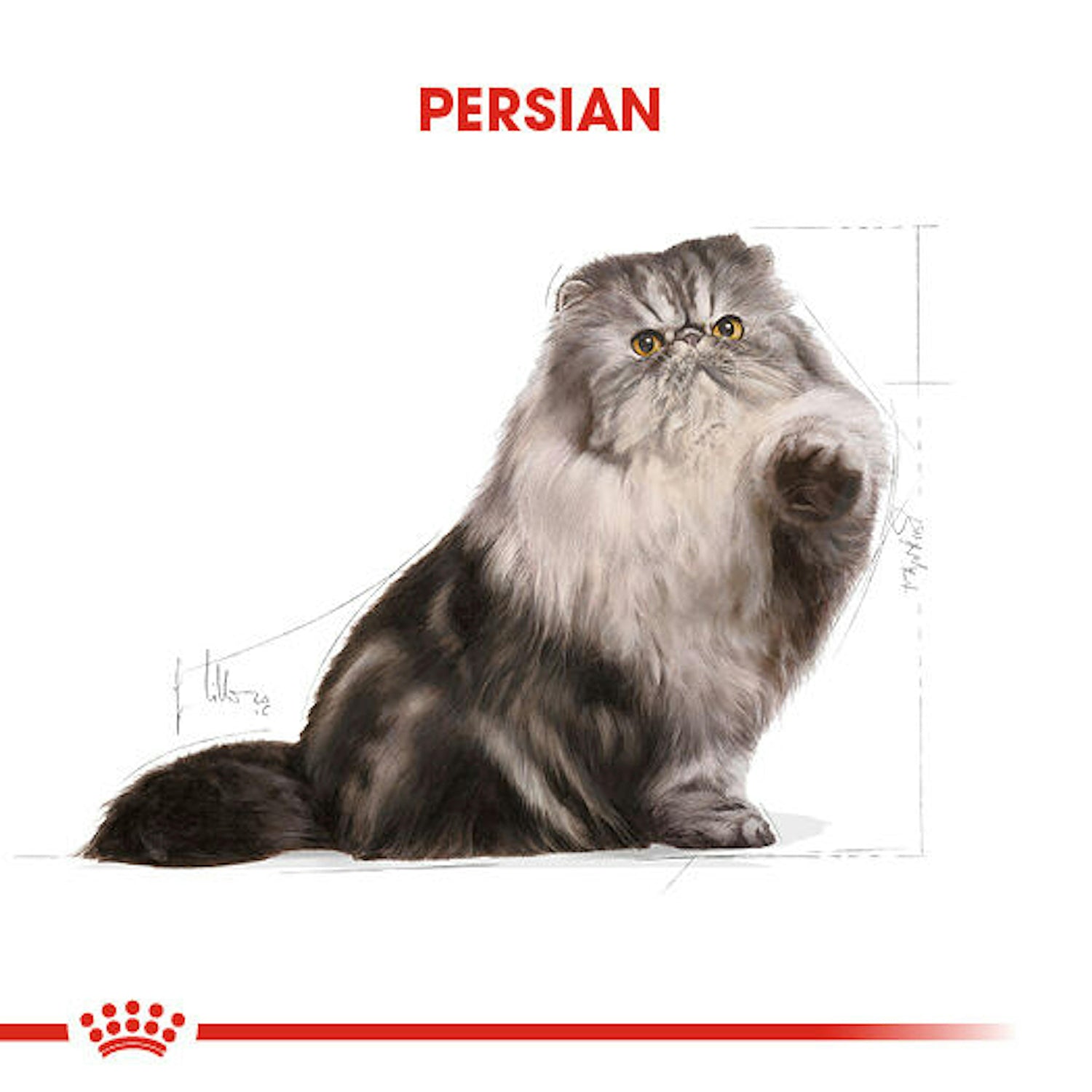 Royal Canin Persian Yetişkin İran Kedisi İçin Kuru Mama 4 Kg