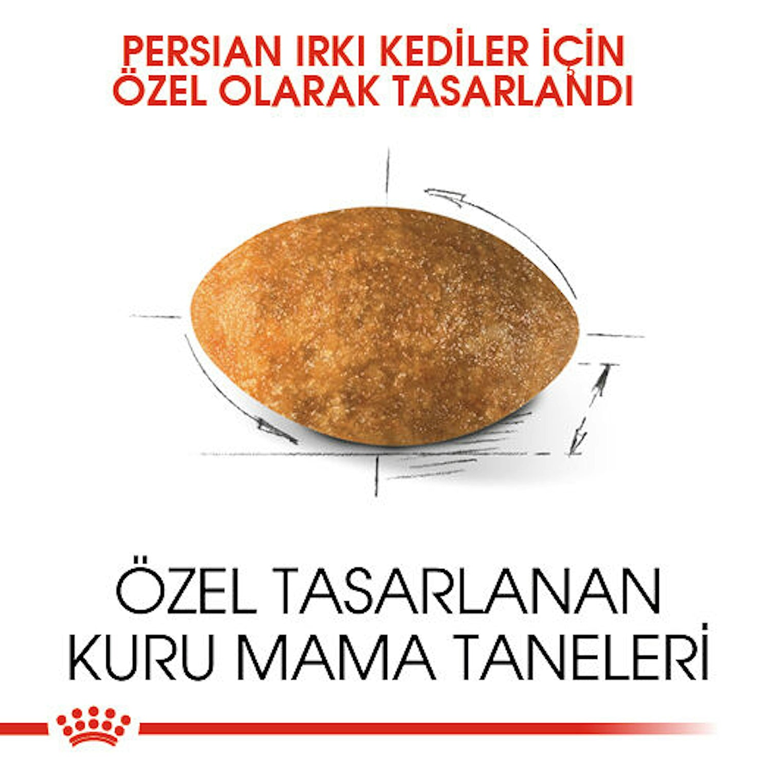 Royal Canin Persian Yetişkin İran Kedisi İçin Kuru Mama 4 Kg