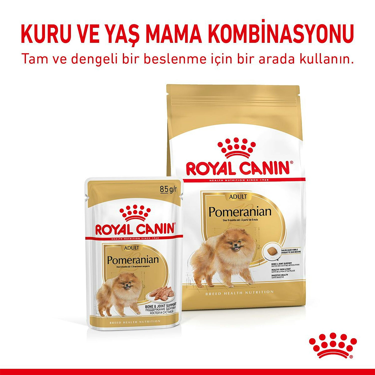 Royal Canin Pomeranian Yetişkin Köpek Maması 3 Kg
