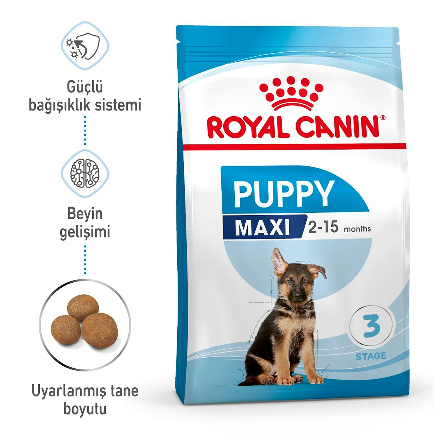 Royal Canin Puppy Maxi Büyük Irk Yavru Köpek Maması 15 Kg