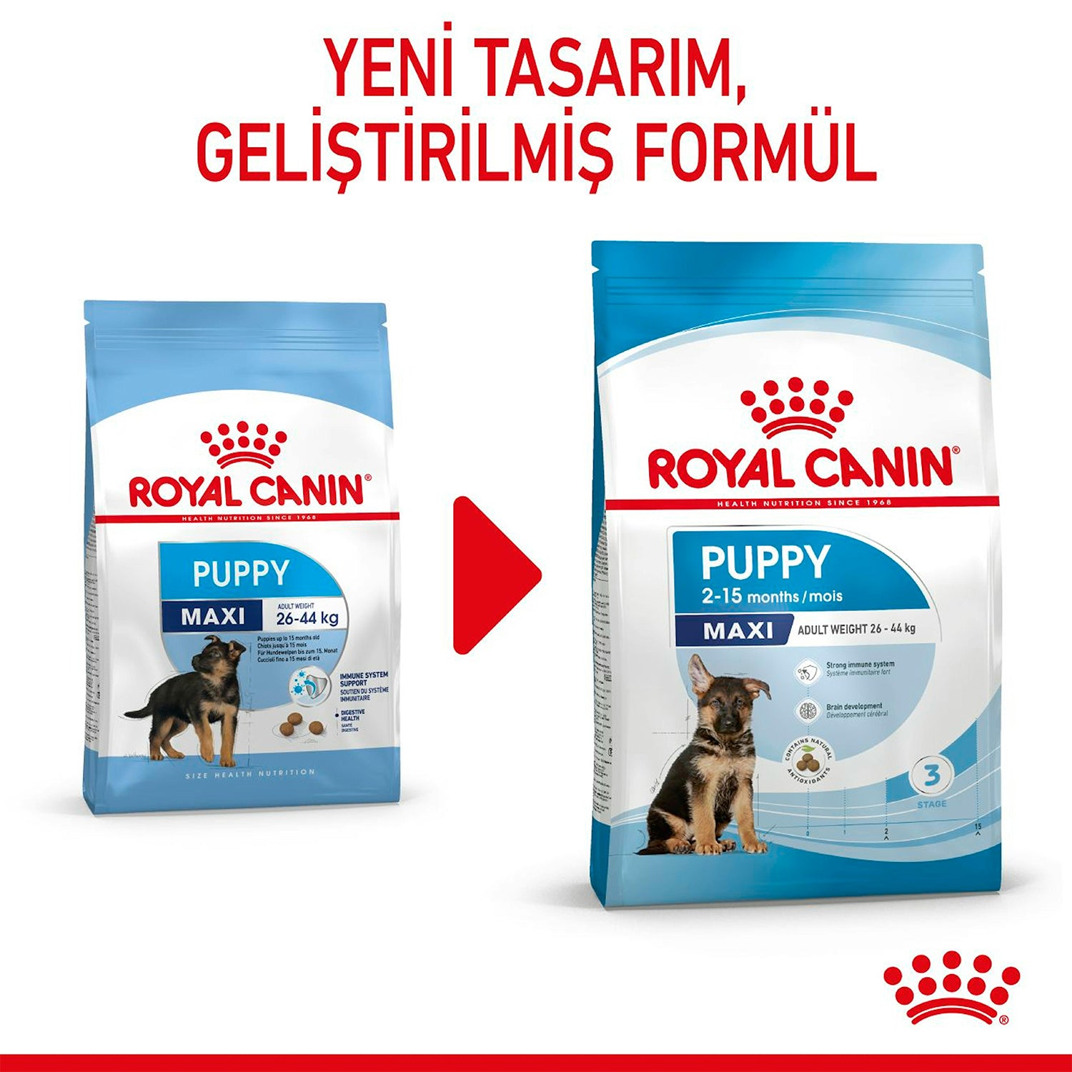 Royal Canin Puppy Maxi Büyük Irk Yavru Köpek Maması 15 Kg