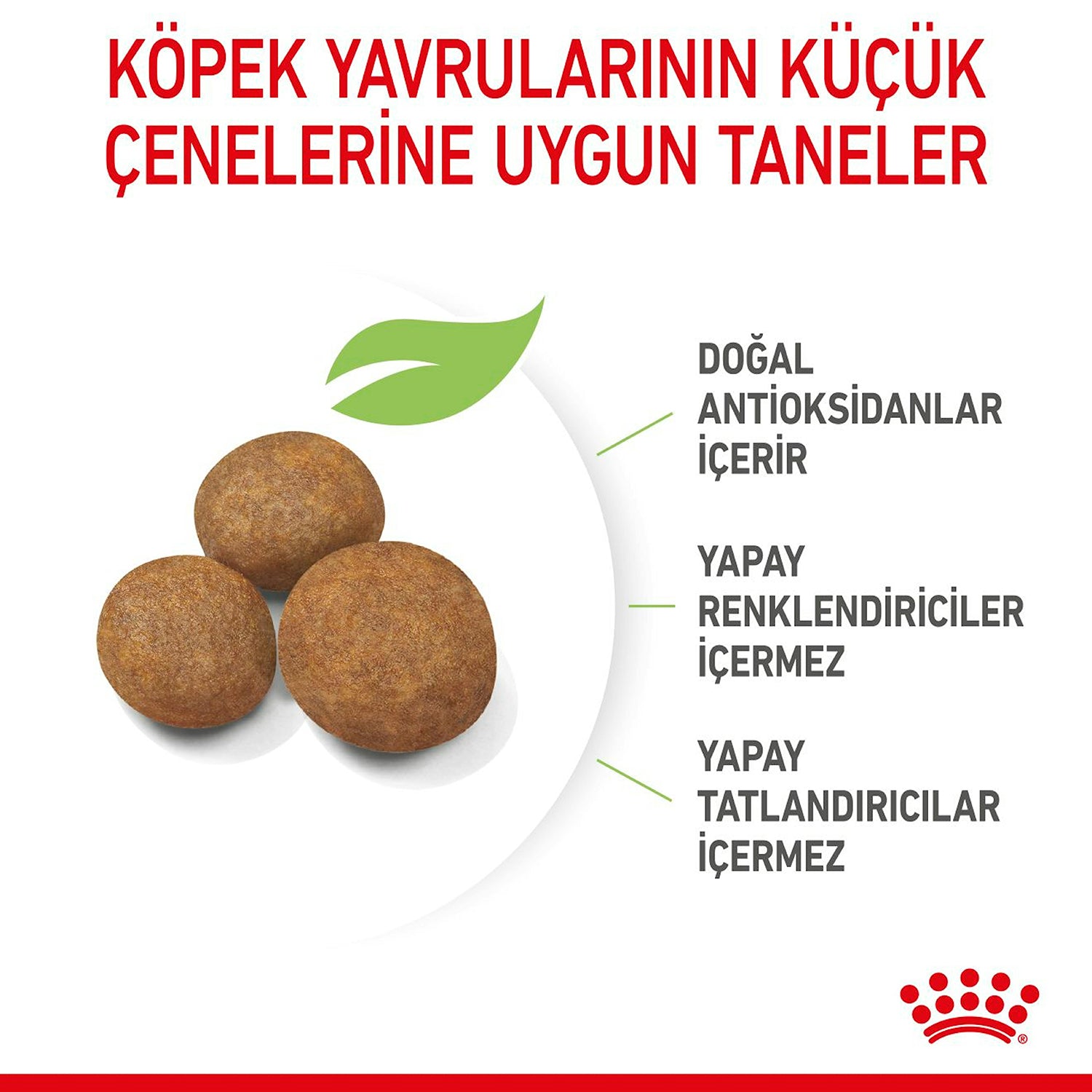 Royal Canin Puppy Maxi Büyük Irk Yavru Köpek Maması 15 Kg