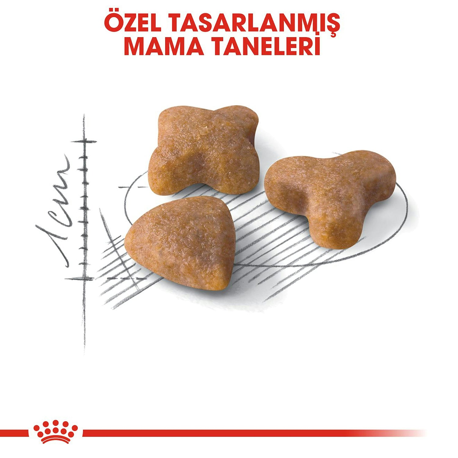 Royal Canin Sensible 33 Hassas Sindirim Sistemi Yetişkin Kuru Kedi Maması 2 Kg