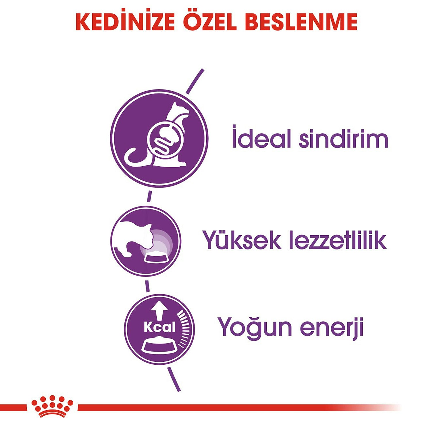 Royal Canin Sensible 33 Hassas Sindirim Sistemi Yetişkin Kuru Kedi Maması 2 Kg
