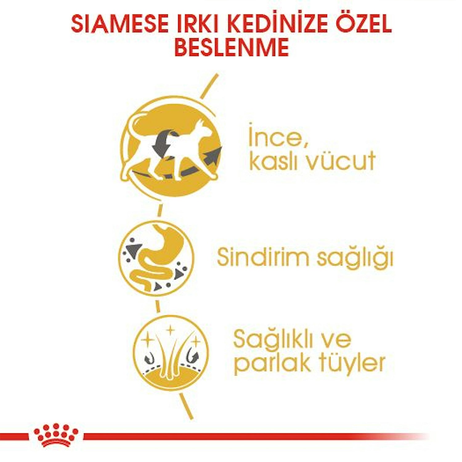 Royal Canin Siamese Yetişkin Siyam Kedisi Maması 2 Kg