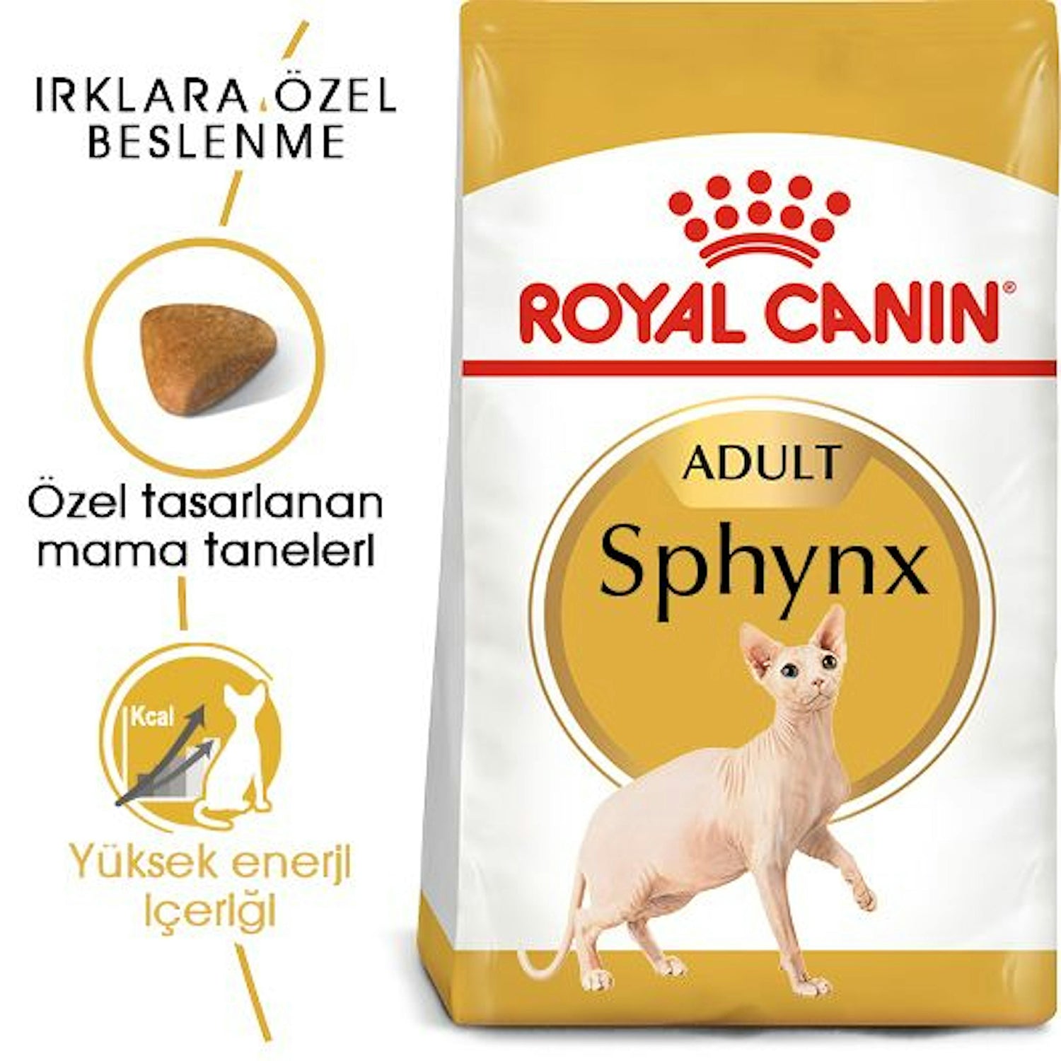 Royal Canin Sphynx Yetişkin Kedi Maması 2 Kg