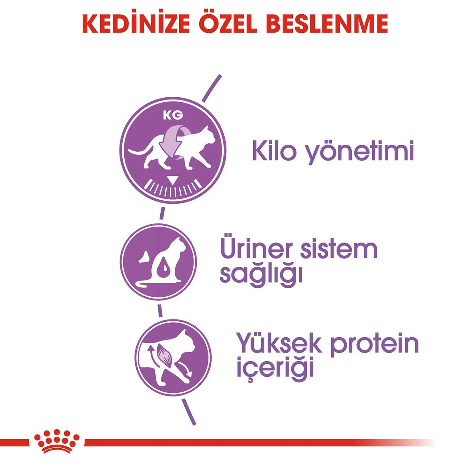Royal Canin Sterilised 37 Kısırlaştırılmış Yetişkin Kedi Maması 4 Kg