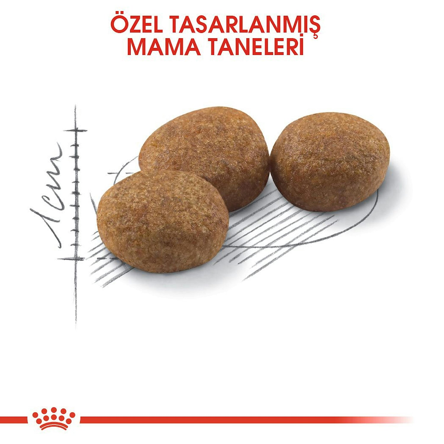 Royal Canin Sterilised 37 Kısırlaştırılmış Yetişkin Kedi Maması 4 Kg